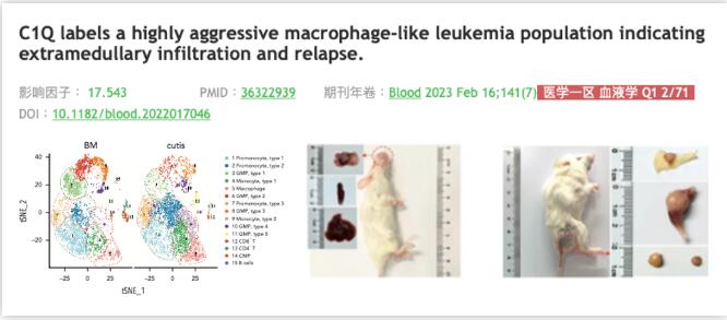 单细胞测序+PDX模型——肿瘤高分文章的利器