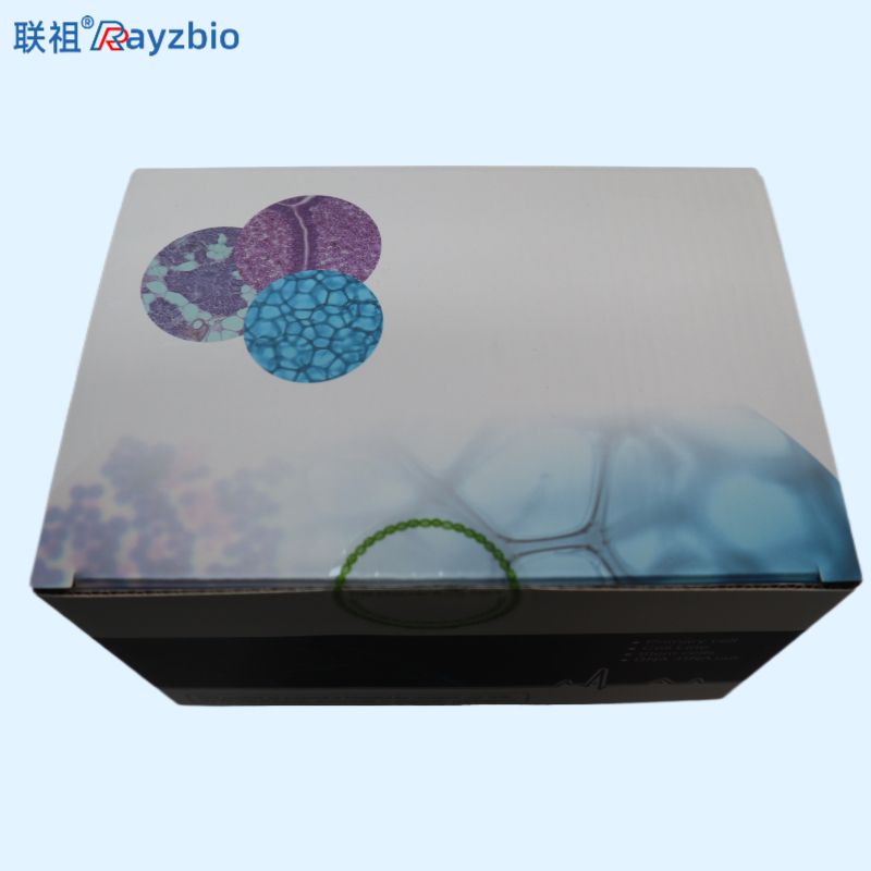 黄热病病毒PCR检测试剂盒