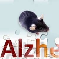 阿尔兹海默症模型