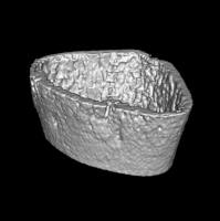 小动物CT（Micro-CT）