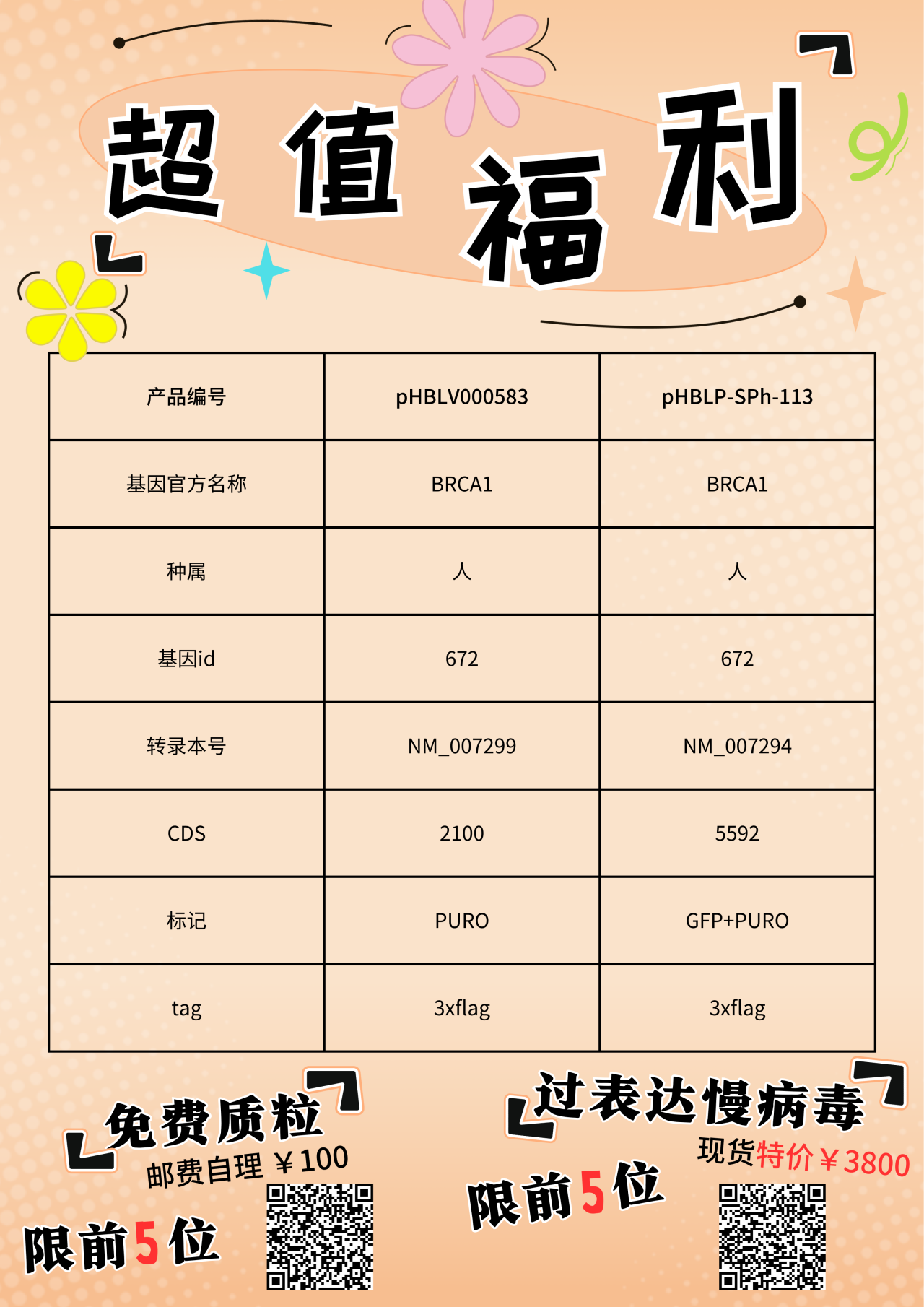 Nature | 细胞遗传畸变或源自BRCA1/2缺乏（含免费质粒及超值优惠）