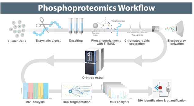颠覆认知，“质”的飞跃：Orbitrap Astral革新修饰组学研究