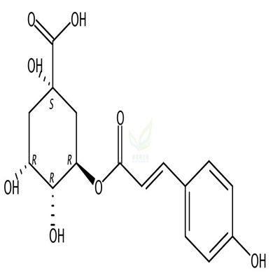 3-对香豆酰基奎宁酸  CAS号：1899-30-5