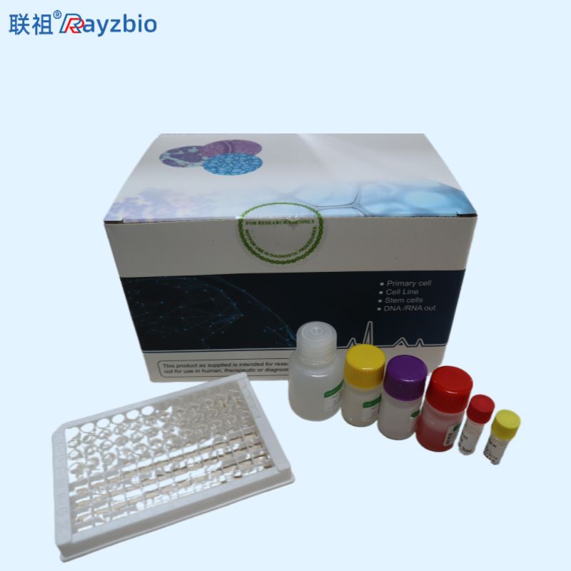 牡丹皮LAMP鉴定试剂盒