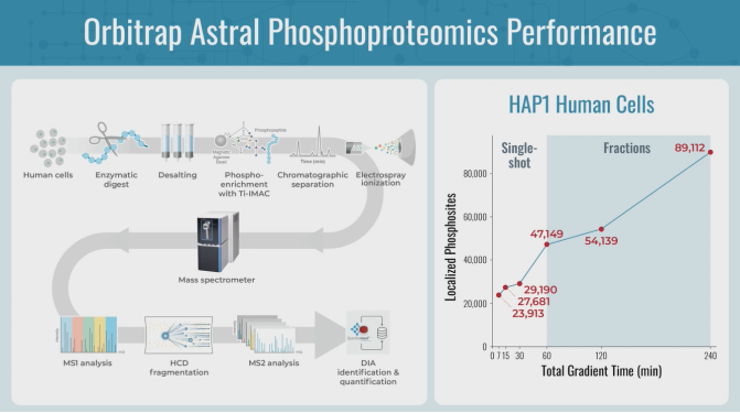 颠覆认知，“质”的飞跃：Orbitrap Astral革新修饰组学研究