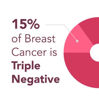 Triple Negative Breast Cancer Panel_三阴性乳腺癌细胞系