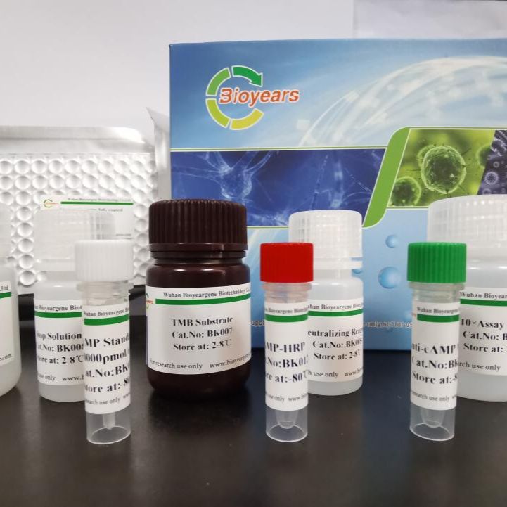 8羟基脱氧鸟苷(8-OHdG)ELISA试剂盒