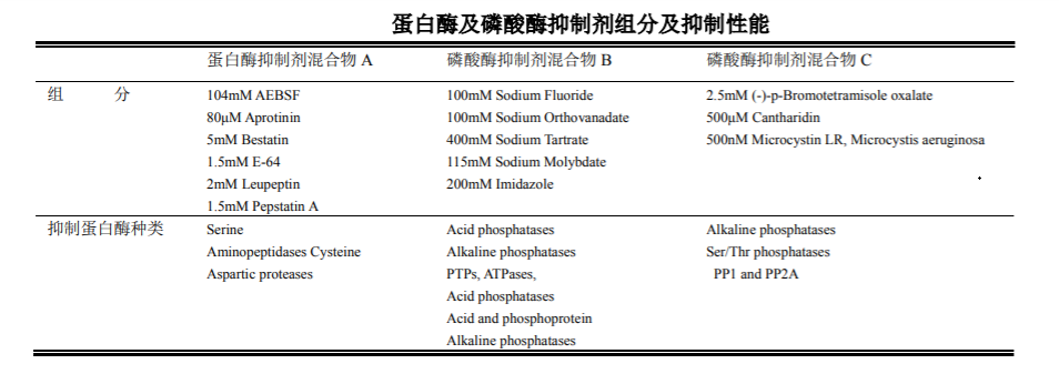 WB Super RIPA Lysis Buffer