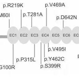 Hi-Reseq 二代目标基因/区段重测序