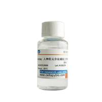 NeuroEasy人神经元分化铺底工作液