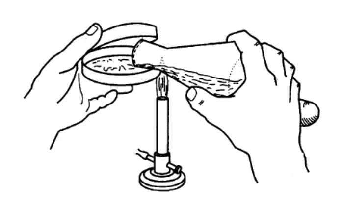 【倒平皿】正在用着培养皿的小伙伴们，该怎么做好倒平板？