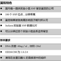 实验小鼠遗传背景鉴定