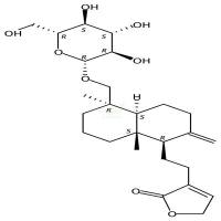新穿心莲内酯  CAS号：27215-14-1