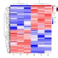 外泌体转录组,microRNA和lncRNA组学