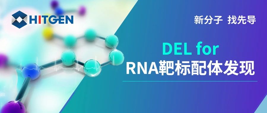 DEL for RNA靶标配体发现