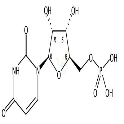5-尿苷一磷酸  CAS号：58-97-9