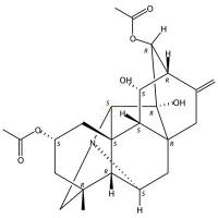 关附甲素  CAS号：1394-48-5