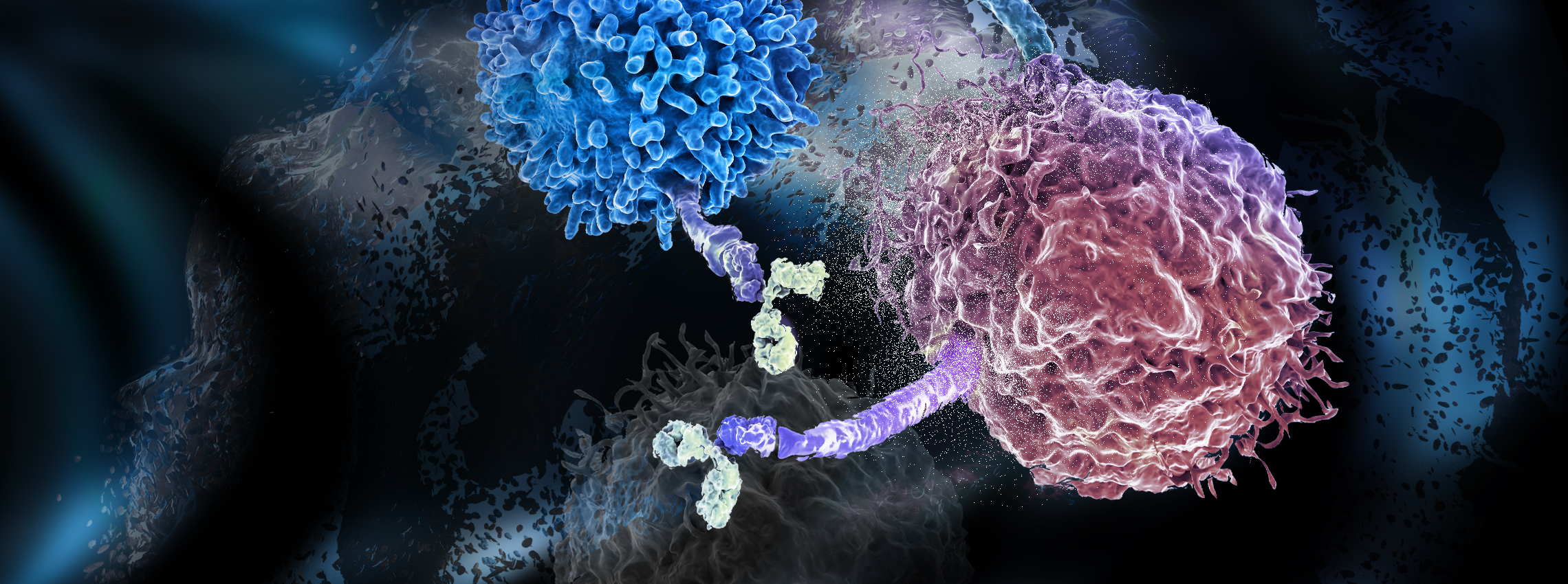 IFNγ刺激的KAT8-IRF1凝聚体可激活PD-L1表达并促进免疫逃逸