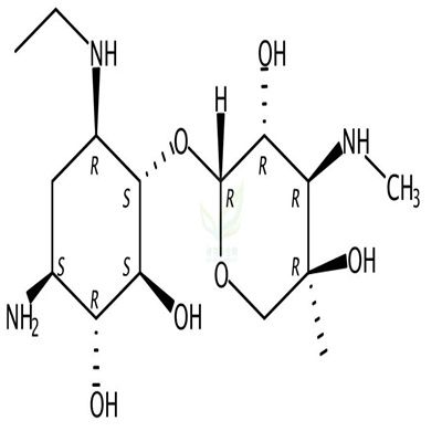 1-N-乙基加洛糖胺  CAS号：67666-41-5