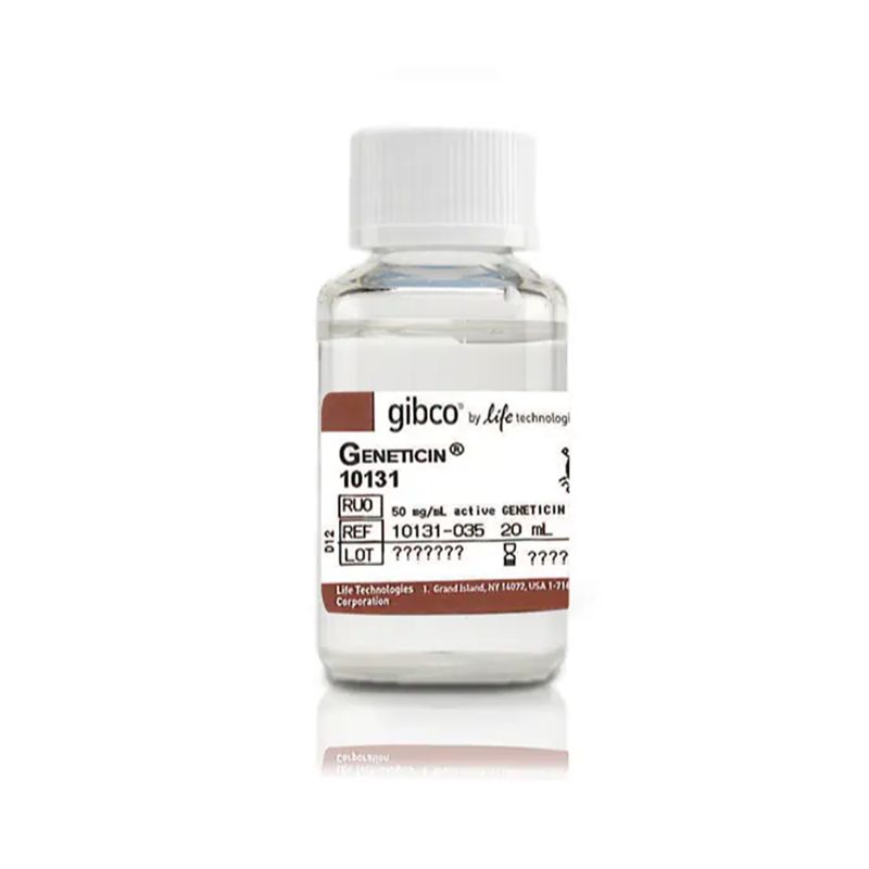 Gibco™10131035Geneticin™ 选择性抗生素（G418 硫酸盐）(50 mg/mL)