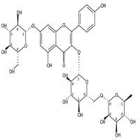 山柰酚-3-O-芸香糖-7-O-葡萄糖苷  CAS号：34336-18-0