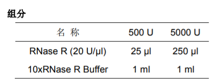 Ribonuclease R(Rnase R) 核酸外切酶