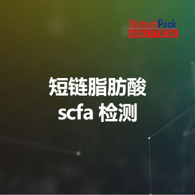 短链脂肪酸 scfa 检测