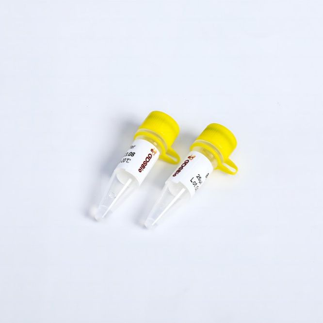 PCR Mix II (P2011b-P2012b-P2013b-P2014b-P2015b)