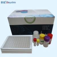 中华鲟特定基因序列PCR检测试剂盒