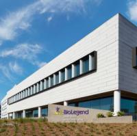 APC anti-mouse TNF-α