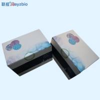 罗湖病毒(TiLV)核酸检测试剂盒
