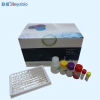 兔出血症病毒通用型(RHDV)核酸检测试剂盒