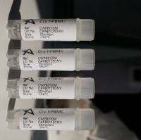 冻存Human PBMC上海睿安生物19121878899