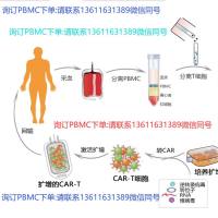 冻存Human PBMC