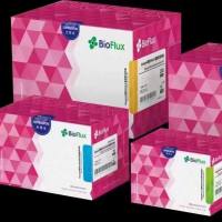 22MagaBio plus 病毒DNA/RNA 纯化试剂盒Ⅳ