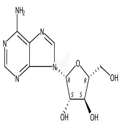 阿糖腺苷   CAS号：5536-17-4