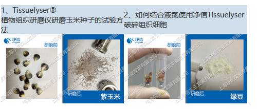 JXFSTPRP-32全自动样品快速研磨仪/高通量组织研磨器