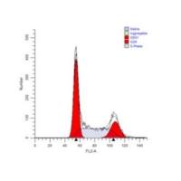 细胞周期流式分析