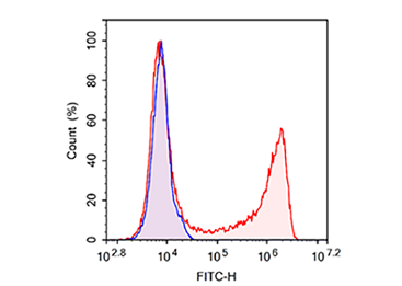 细胞增殖流式分析