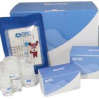 PAGE 彩色凝胶快速制备试剂盒（12.5% ）