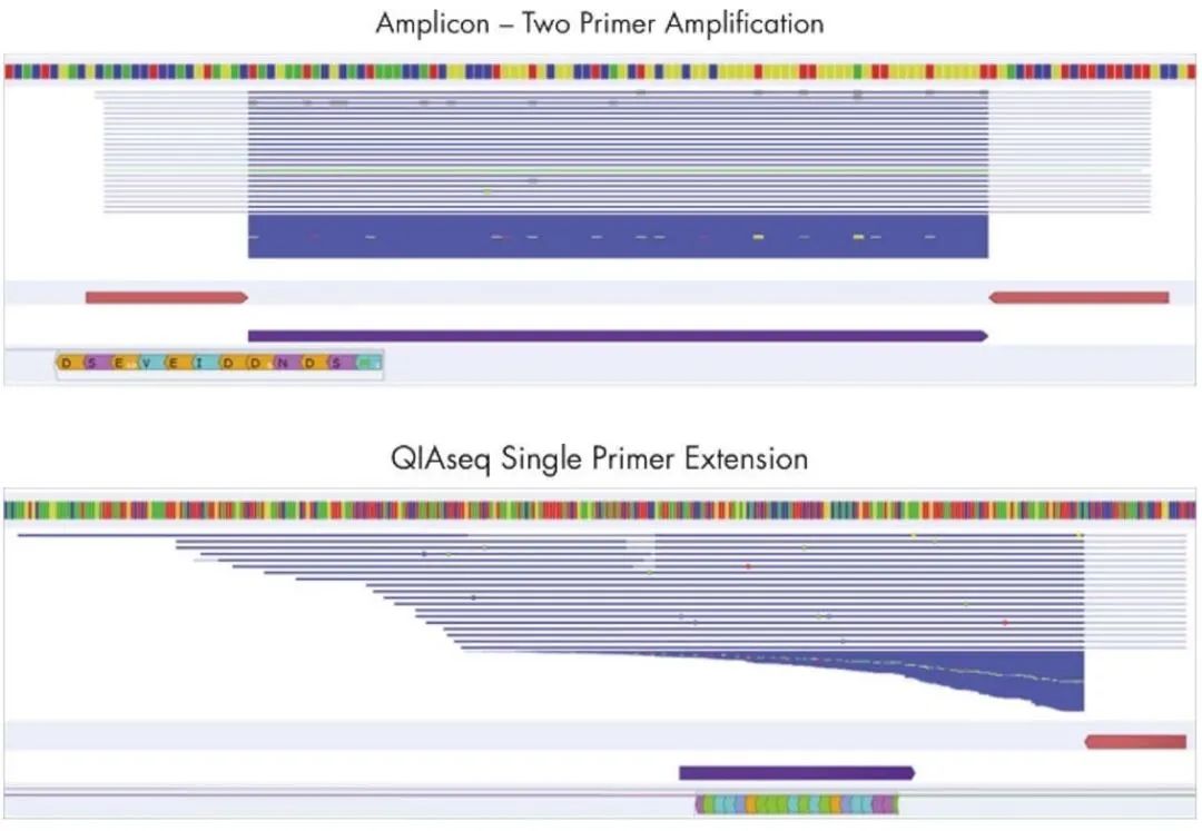 解密提升cfDNA样本NGS检测限的研发思路