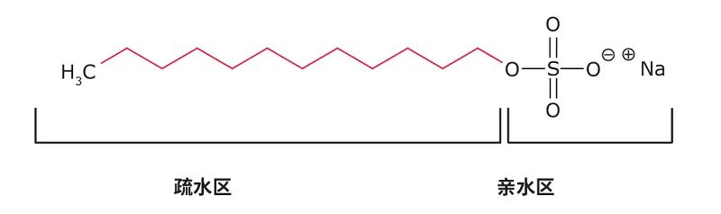 去垢剂如何帮助膜蛋白增溶？