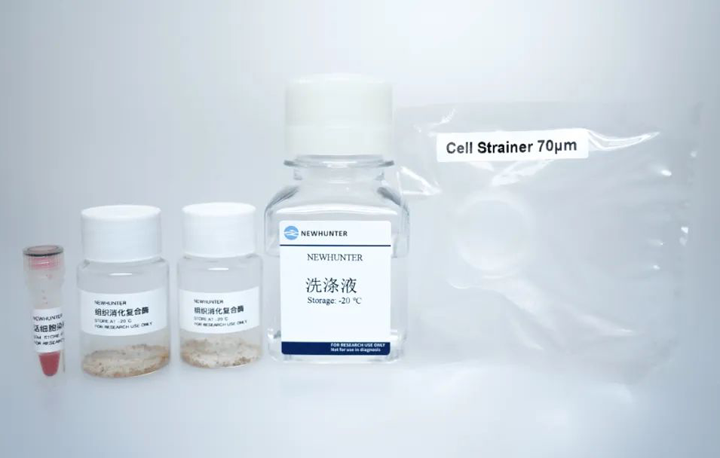 双节同庆，焕新上市 | 环特斑马鱼PDX全流程套装正式上线！