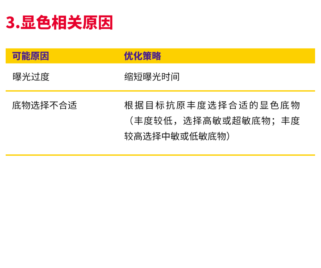 干货 | 师兄爆肝熬夜整理的WB&IF 实验技巧