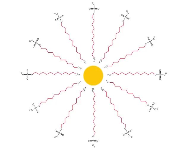 去垢剂如何帮助膜蛋白增溶？