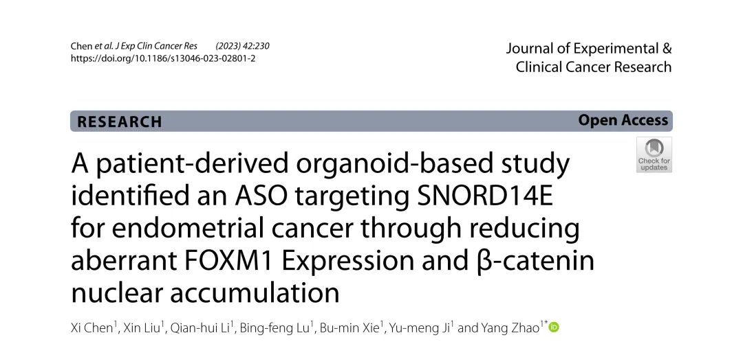 JECCR丨基于患者源性类器官研究发现ASO靶向snoRNA SNORD14E可用于治疗子宫内膜癌