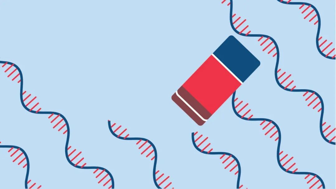 定向抹除非必要RNA，自由掌握RNA-seq结果