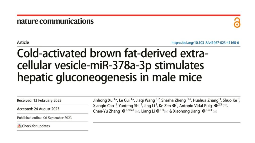 Nature子刊丨寒冷激活的棕色脂肪源性EV-miR-378a-3p刺激雄性小鼠肝脏糖异生