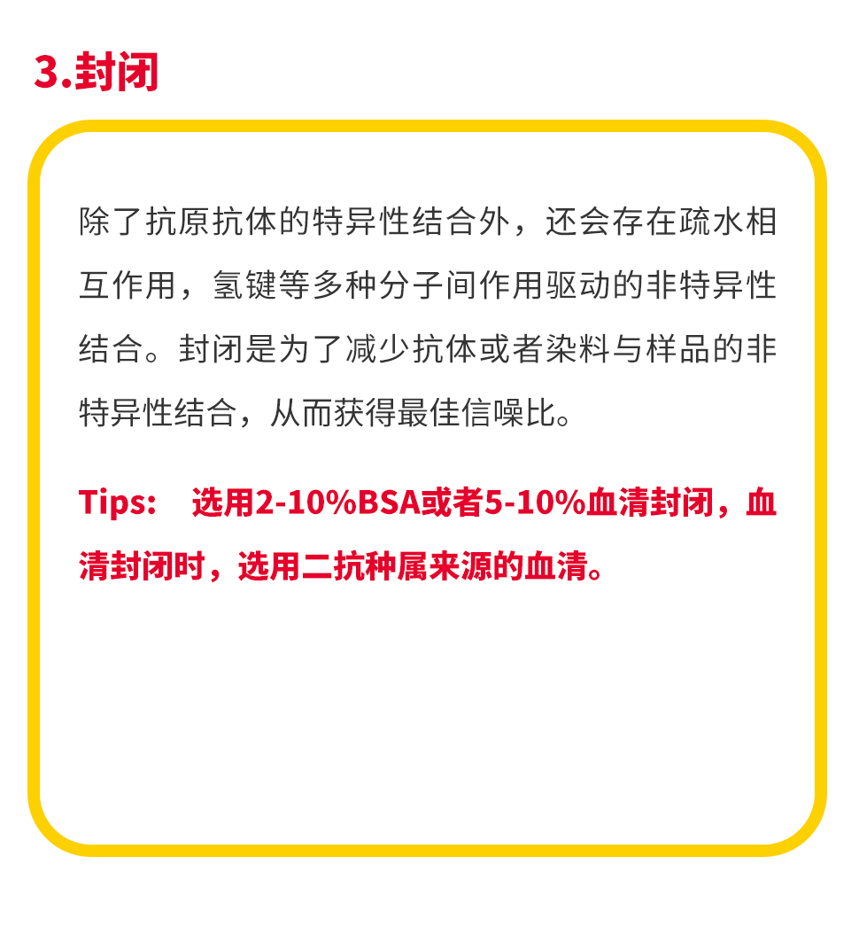 干货 | 师兄爆肝熬夜整理的WB&IF 实验技巧