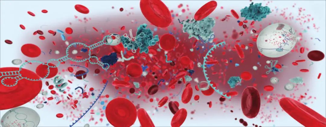 高效质控cfDNA片段分布—全自动毛细管电泳仪QIAxcel Connect